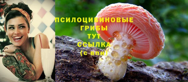 соль ск Абаза