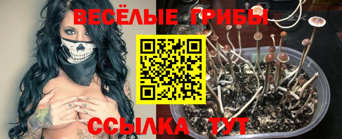 Ялта  Псилоцибиновые грибы GOLDEN TEACHER  Вход с VPN 