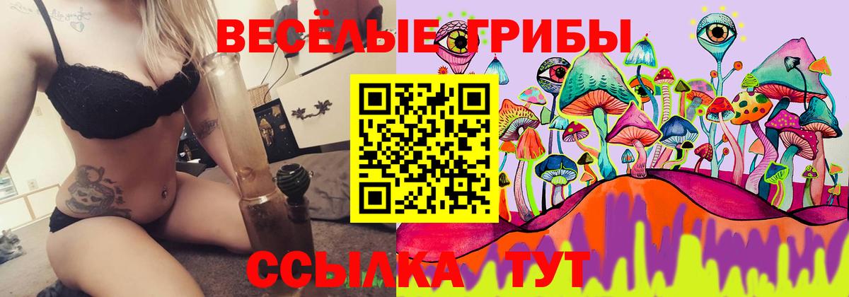 Псилоцибиновые грибы Psilocybine cubensis Ялта